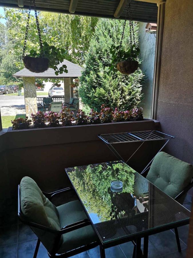 Villa I Spa Stevic Veliko Gradište Dış mekan fotoğraf