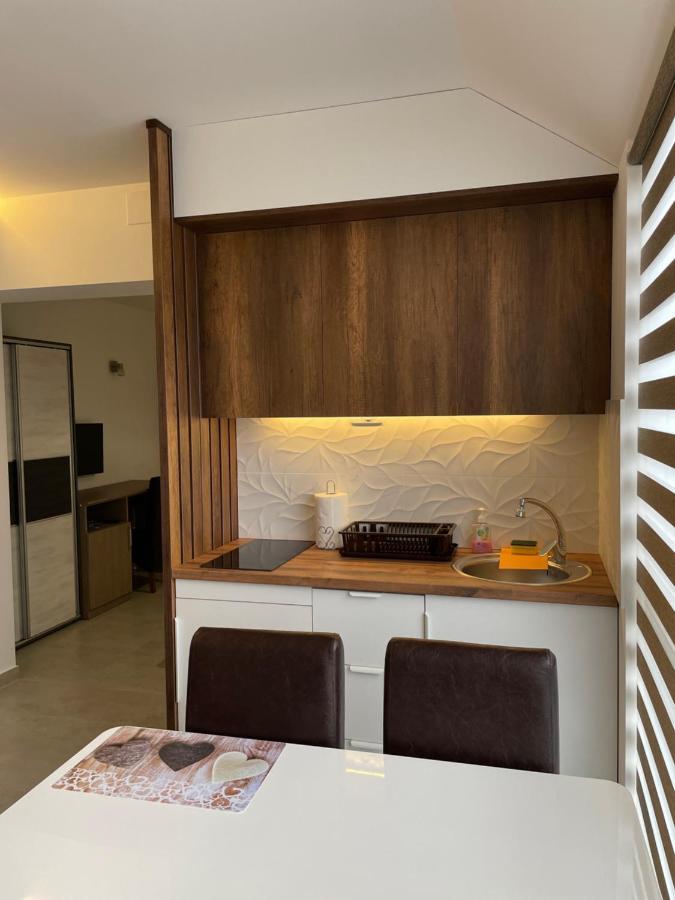 Villa I Spa Stevic Veliko Gradište Dış mekan fotoğraf