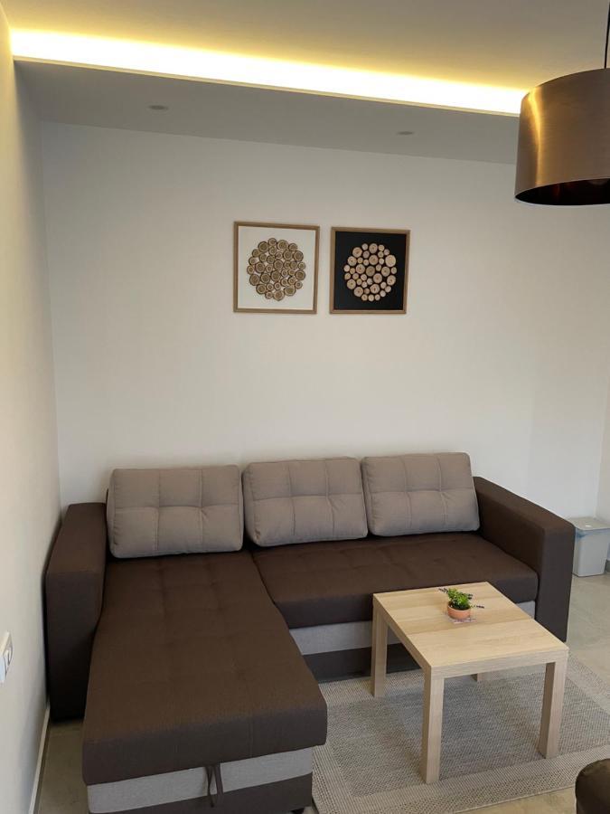 Villa I Spa Stevic Veliko Gradište Dış mekan fotoğraf