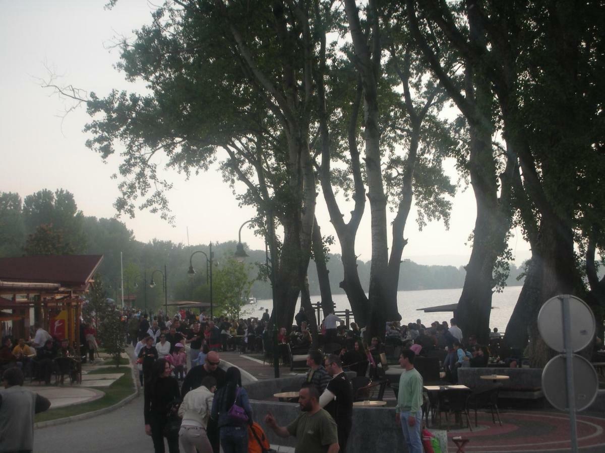 Villa I Spa Stevic Veliko Gradište Dış mekan fotoğraf